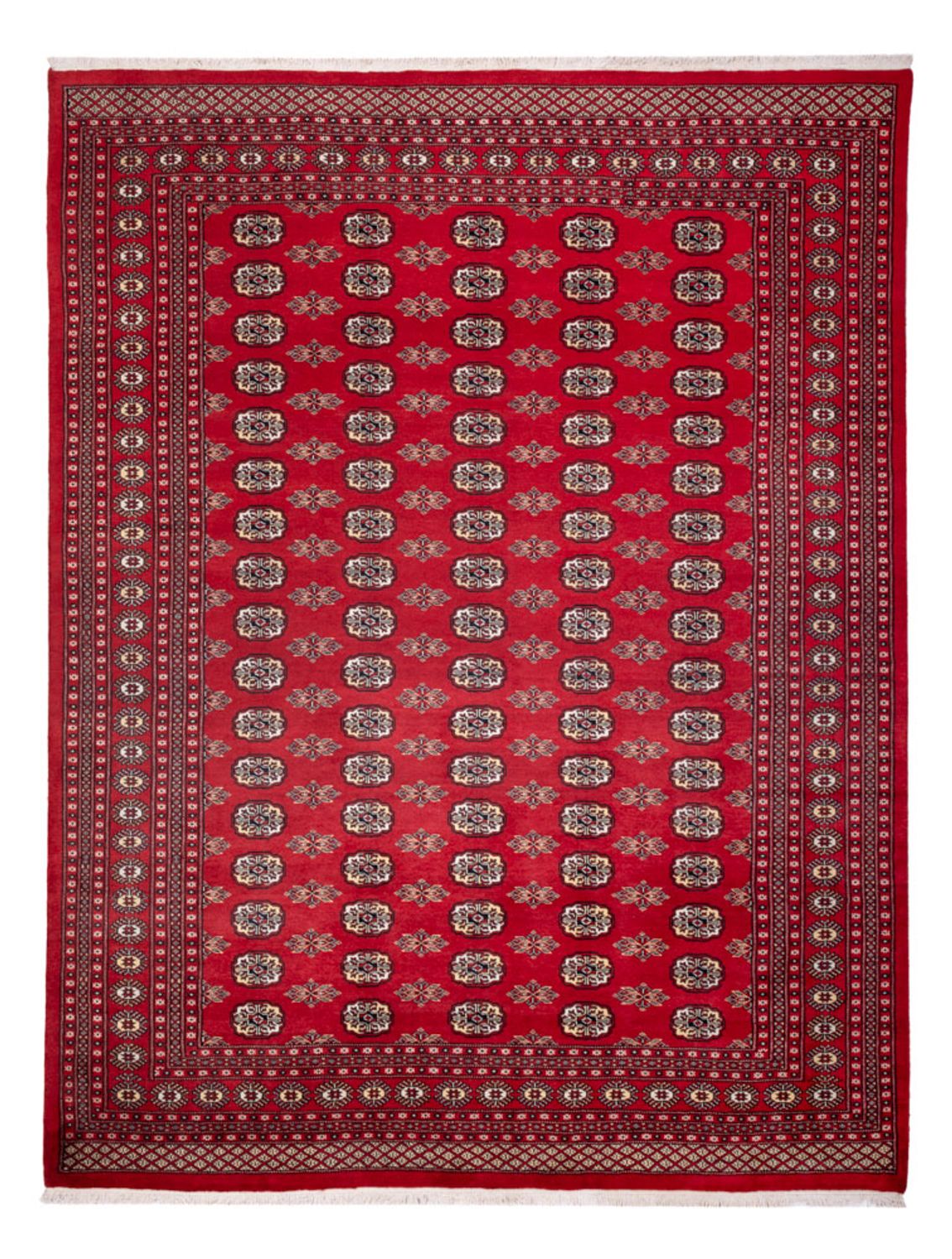 Afghansk tæppe - Bukhara - 314 x 243 cm - rød
