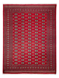 Afghansk tæppe - Bukhara - 314 x 243 cm - rød
