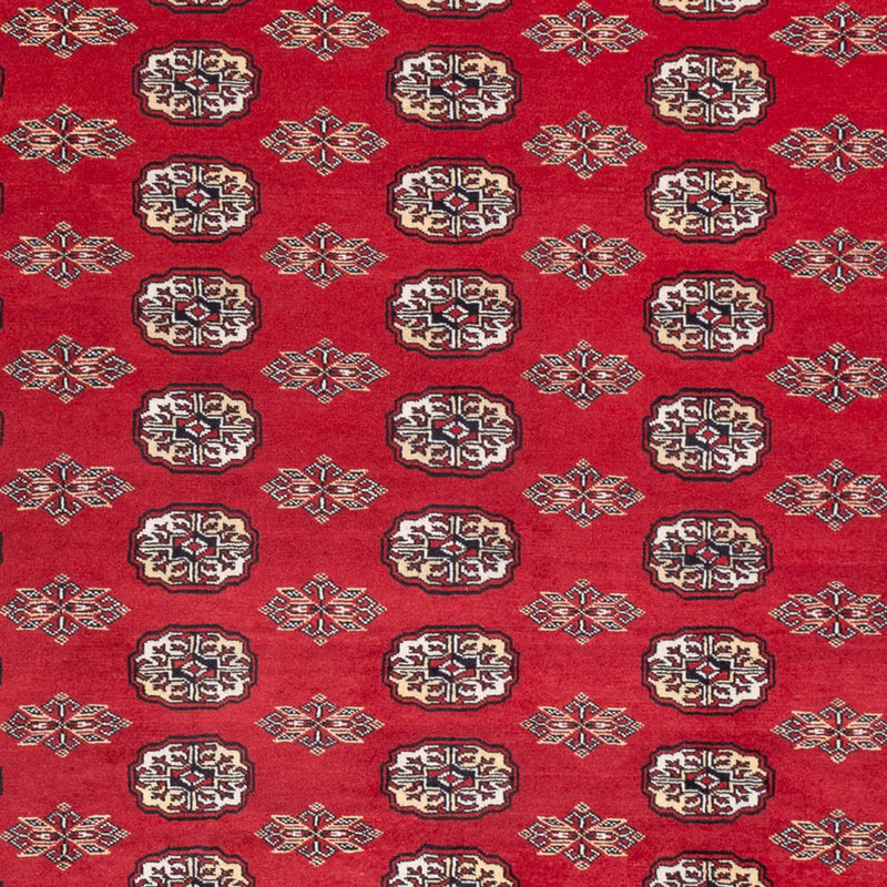 Afghansk tæppe - Bukhara - 314 x 243 cm - rød
