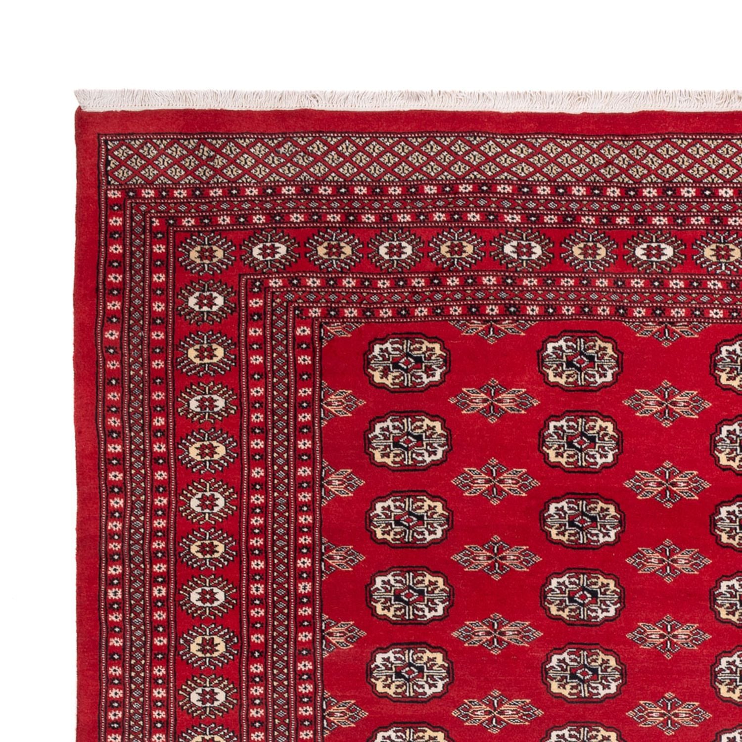 Afghansk tæppe - Bukhara - 314 x 243 cm - rød