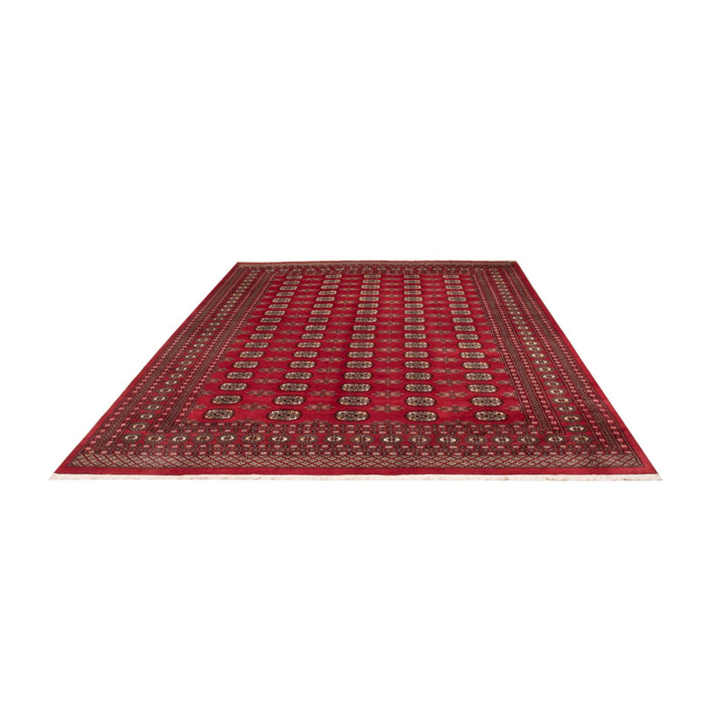 Afghansk tæppe - Bukhara - 314 x 243 cm - rød