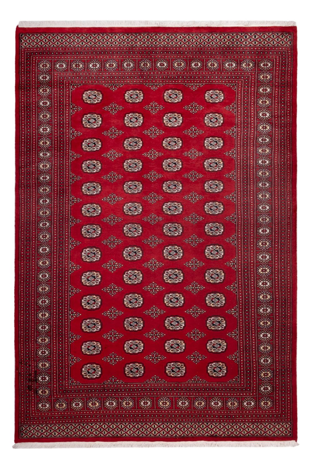 Afghansk tæppe - Bukhara - 290 x 200 cm - rød
