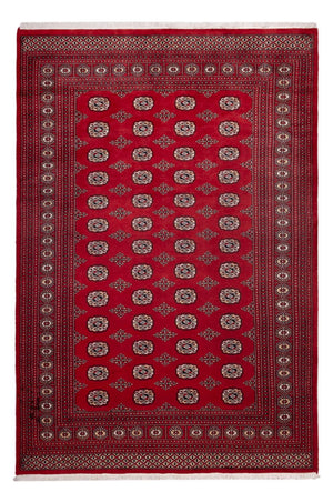 Afghansk tæppe - Bukhara - 290 x 200 cm - rød