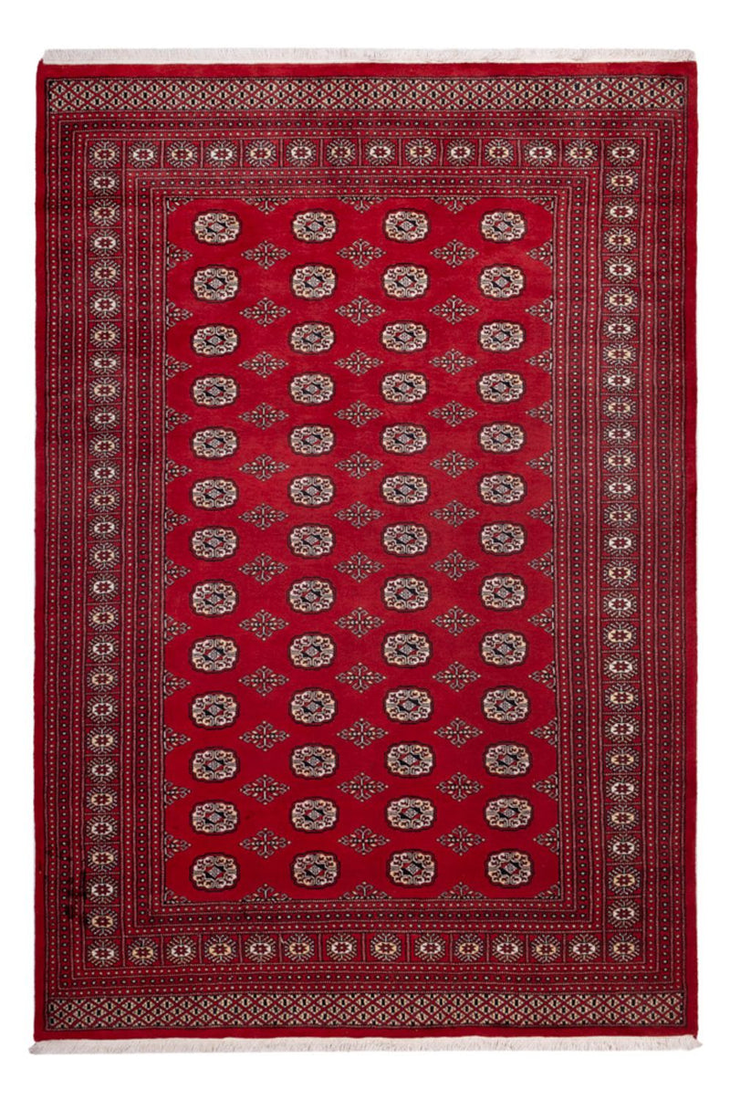 Afghansk tæppe - Bukhara - 290 x 200 cm - rød
