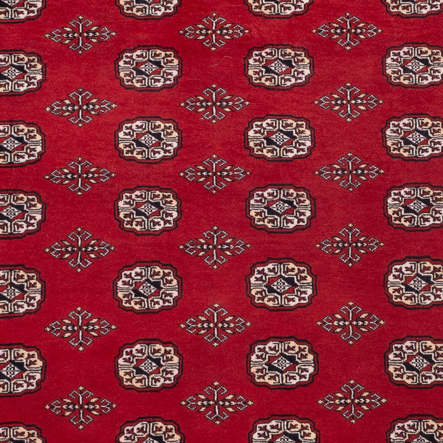 Afghansk tæppe - Bukhara - 290 x 200 cm - rød