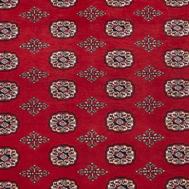 Afghansk tæppe - Bukhara - 290 x 200 cm - rød