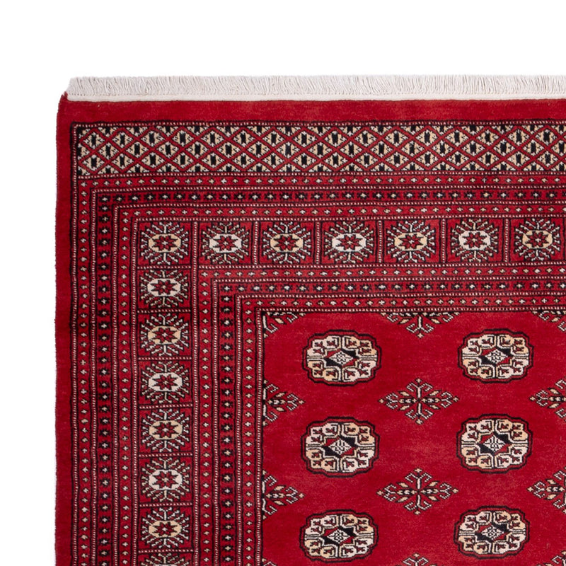 Afghansk tæppe - Bukhara - 290 x 200 cm - rød