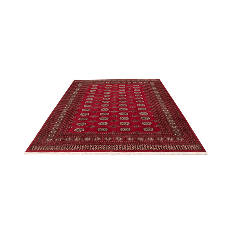 Afghansk tæppe - Bukhara - 290 x 200 cm - rød