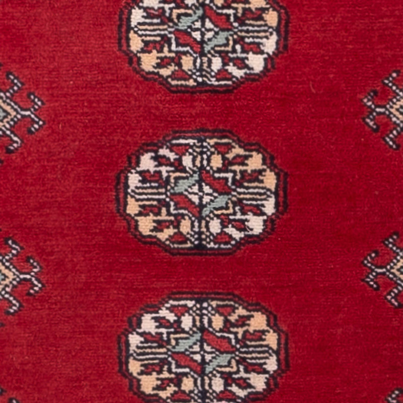 Løber Pakistan Tæppe - 255 x 77 cm - rød