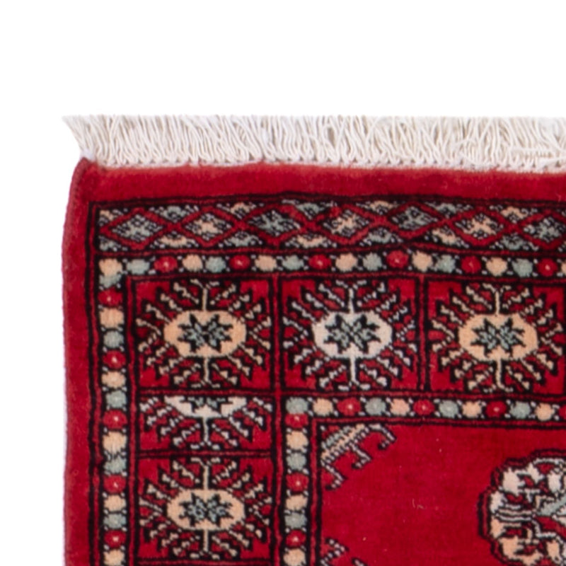 Løber Pakistan Tæppe - 255 x 77 cm - rød
