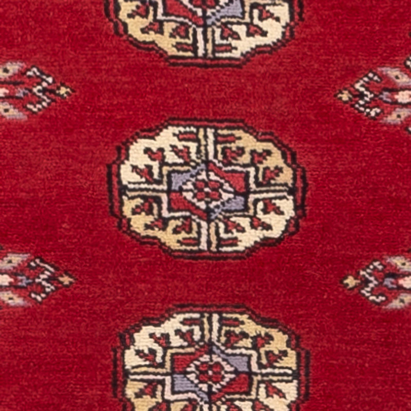 Løber Pakistan Tæppe - 246 x 77 cm - rød