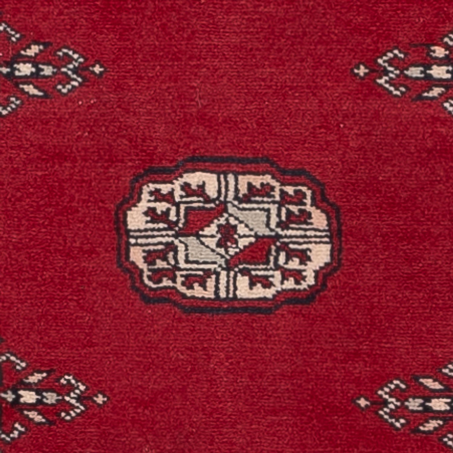 Løber Pakistan Tæppe - 257 x 75 cm - rød