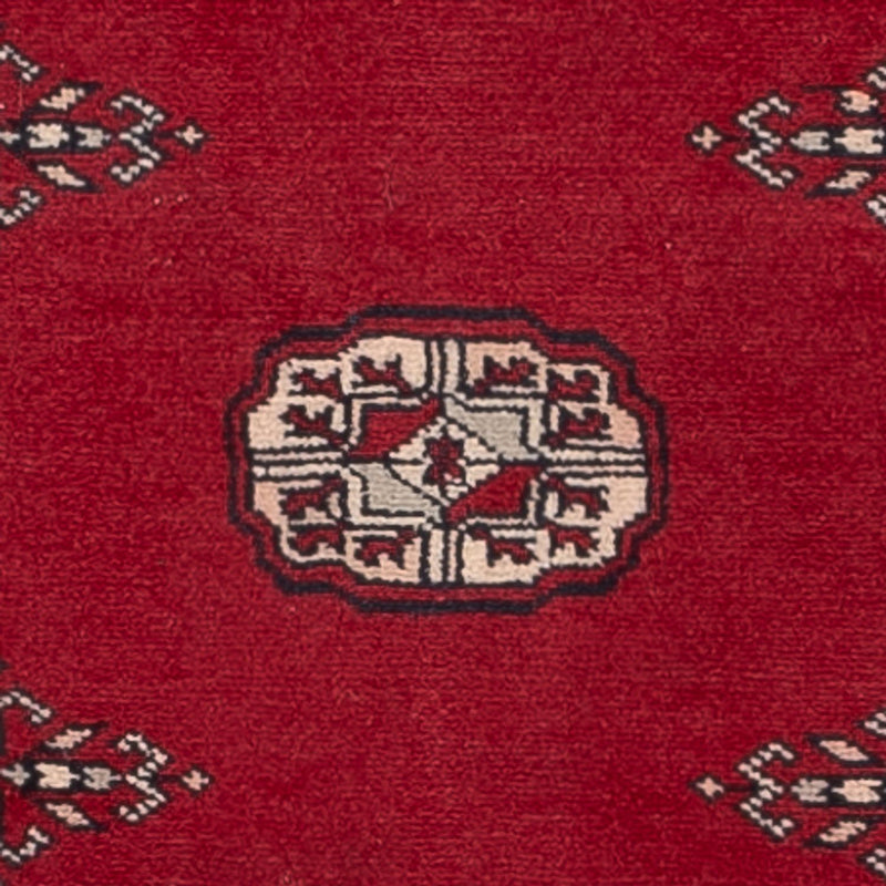 Løber Pakistan Tæppe - 257 x 75 cm - rød