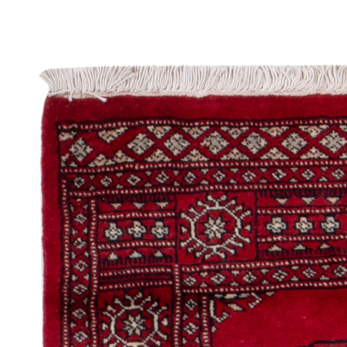 Pakistan Tæppe 257x75cm - Orientalsk tæppe