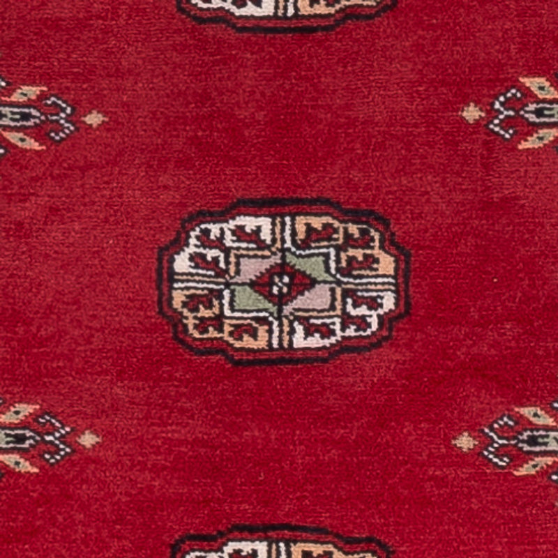 Løber Pakistan Tæppe - 242 x 76 cm - rød