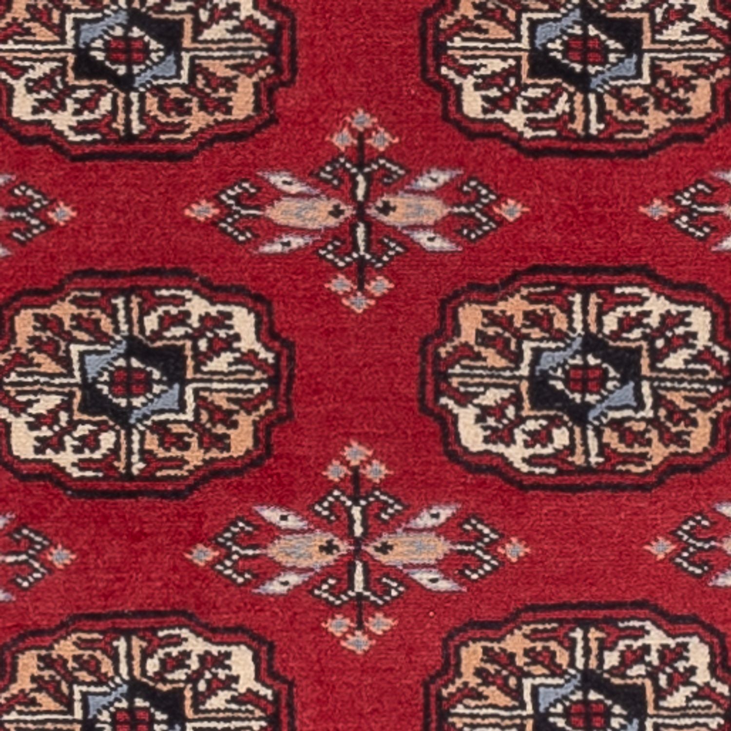Løber Pakistan Tæppe - 224 x 80 cm - rød