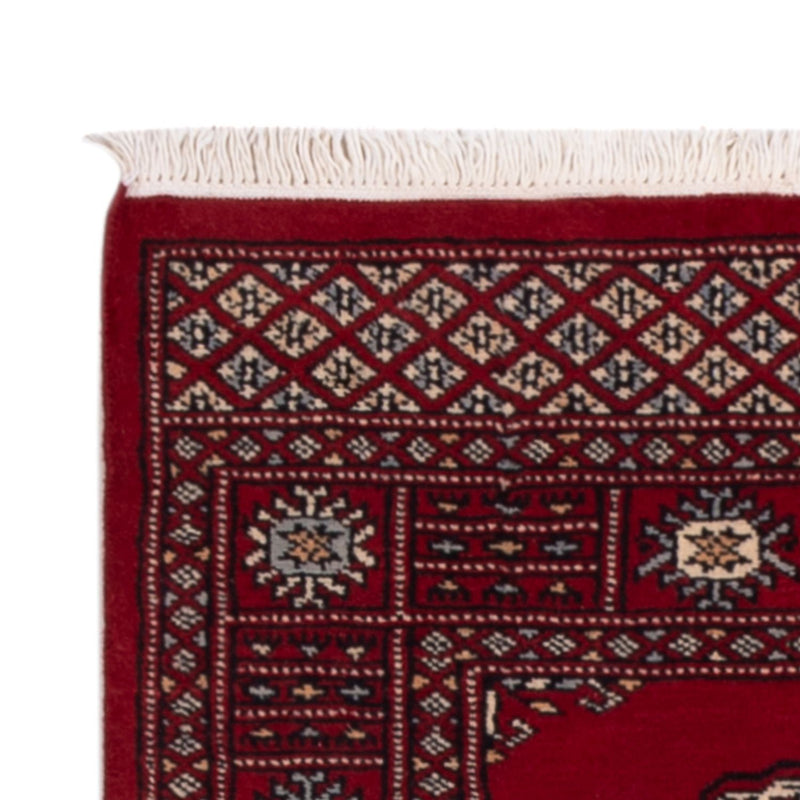 Løber Pakistan Tæppe - 241 x 77 cm - rød