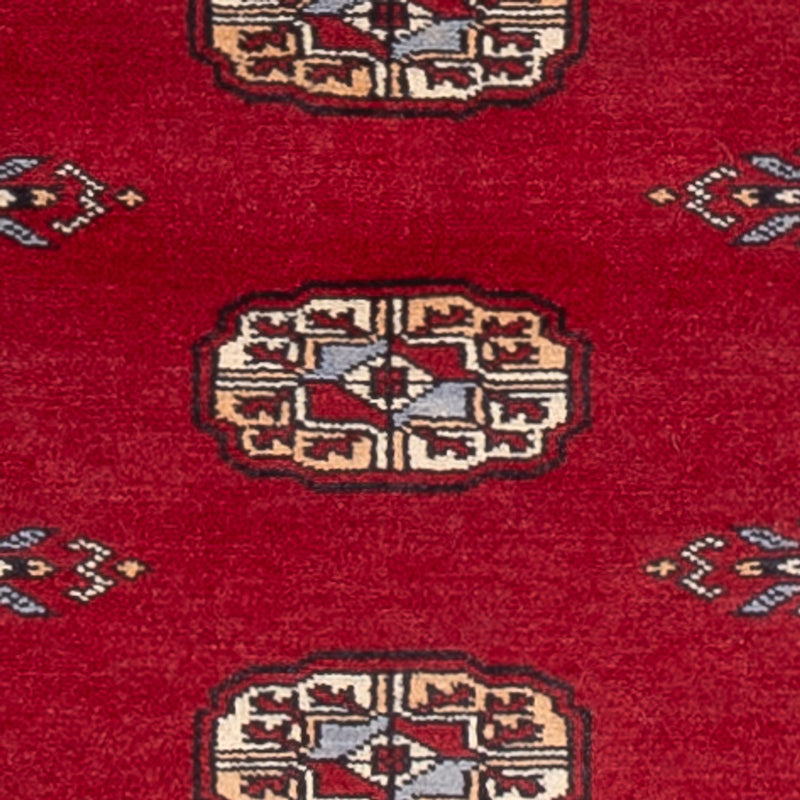 Løber Pakistan Tæppe - 239 x 79 cm - rød