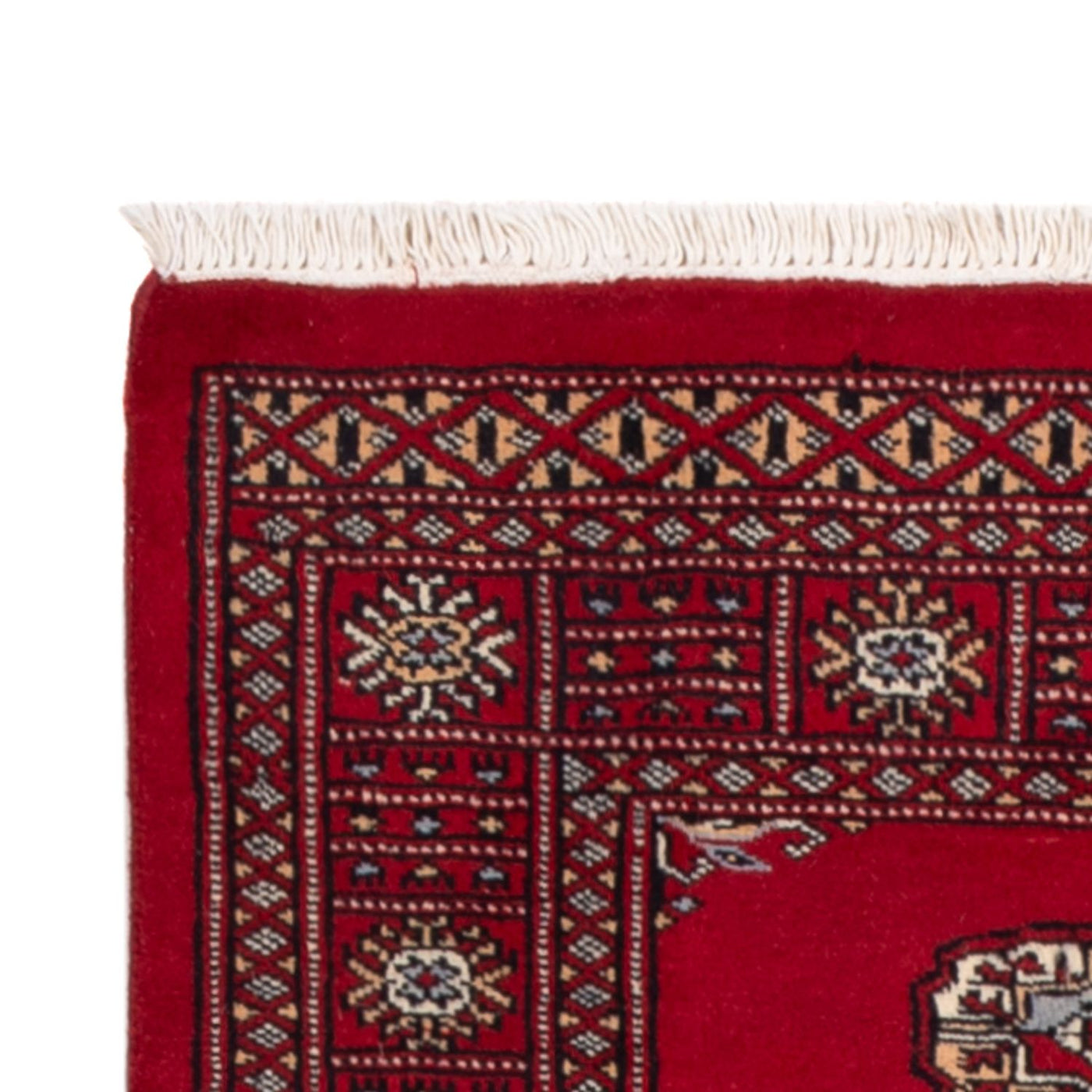 Pakistan Tæppe 239x79cm - Orientalsk tæppe