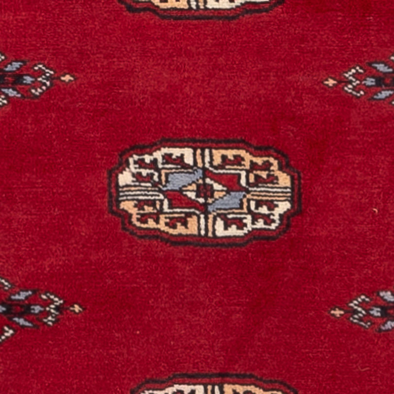 Løber Pakistan Tæppe - 247 x 79 cm - rød