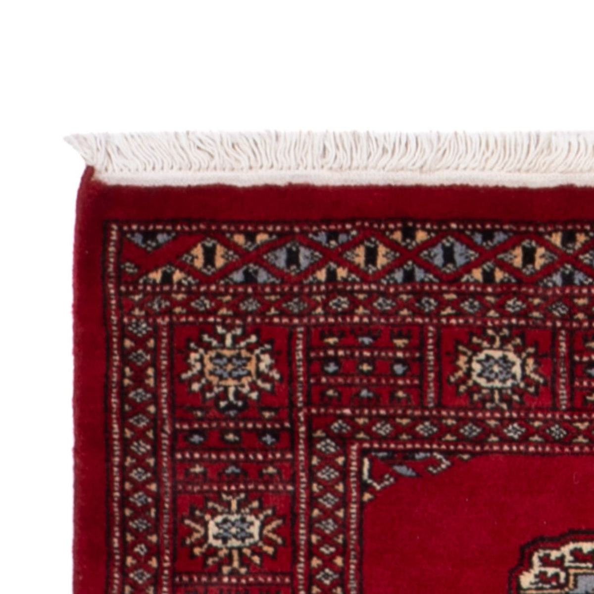 Pakistan Tæppe 79x247cm - Orientalsk tæppe