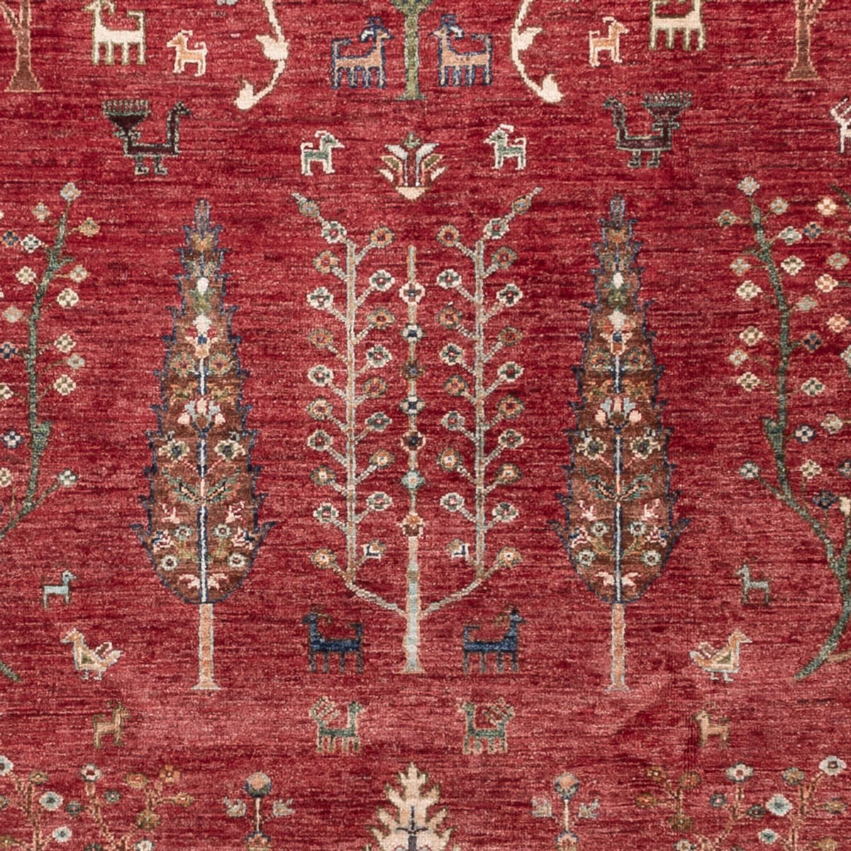 Ziegler Carpet - Ariana - 301 x 210 cm - rød