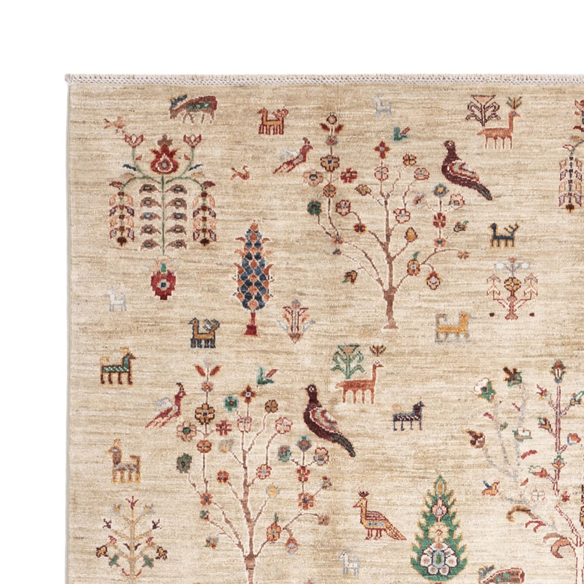 Ziegler Carpet - Ariana - 293 x 204 cm - beige