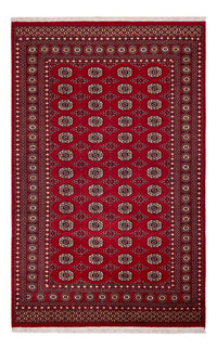 Pakistan Tæppe - 256 x 167 cm - rød