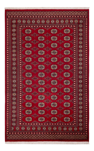 Pakistan Tæppe 167x256cm - Orientalsk tæppe
