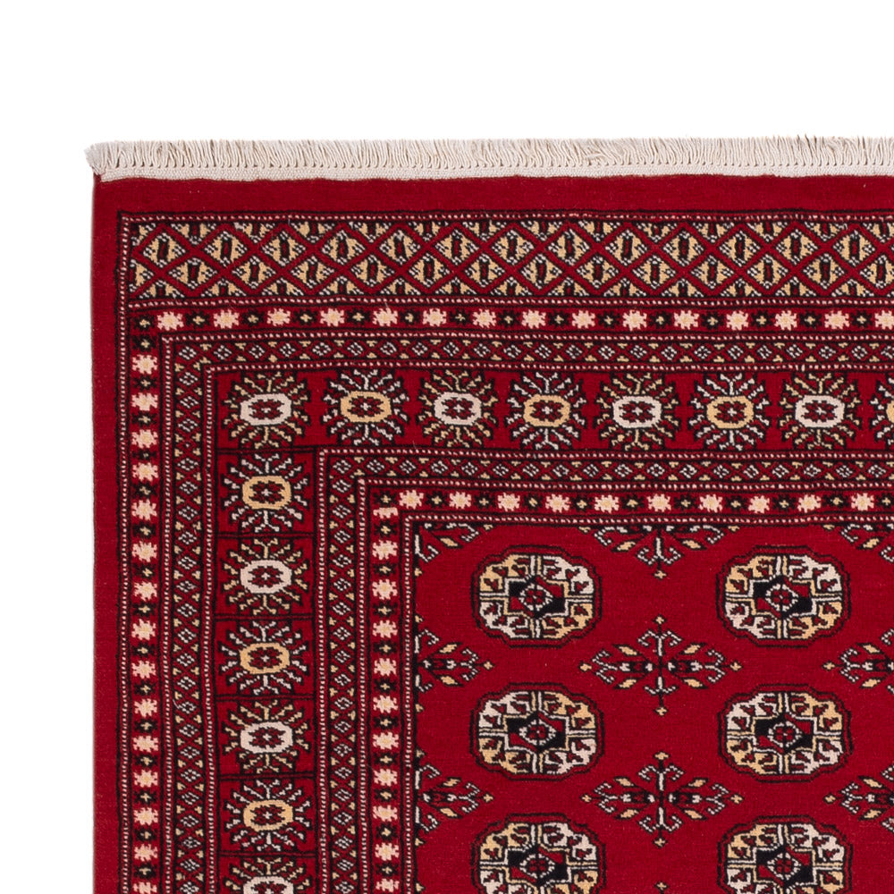 Pakistan Tæppe 256x167cm - Orientalsk tæppe