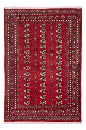 Pakistan Tæppe - 243 x 168 cm - rød