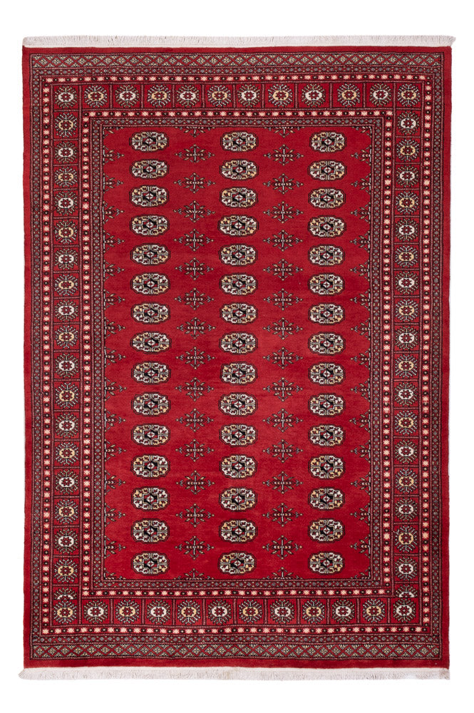 Pakistan Tæppe - 243 x 168 cm - rød