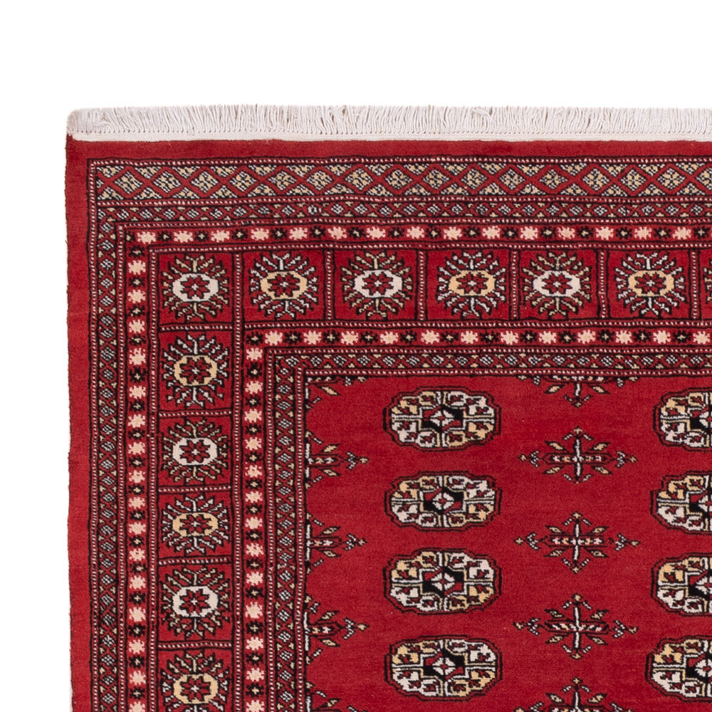Pakistan Tæppe 243x168cm - Orientalsk tæppe