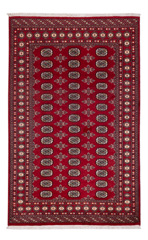 Pakistan Tæppe - 244 x 154 cm - rød