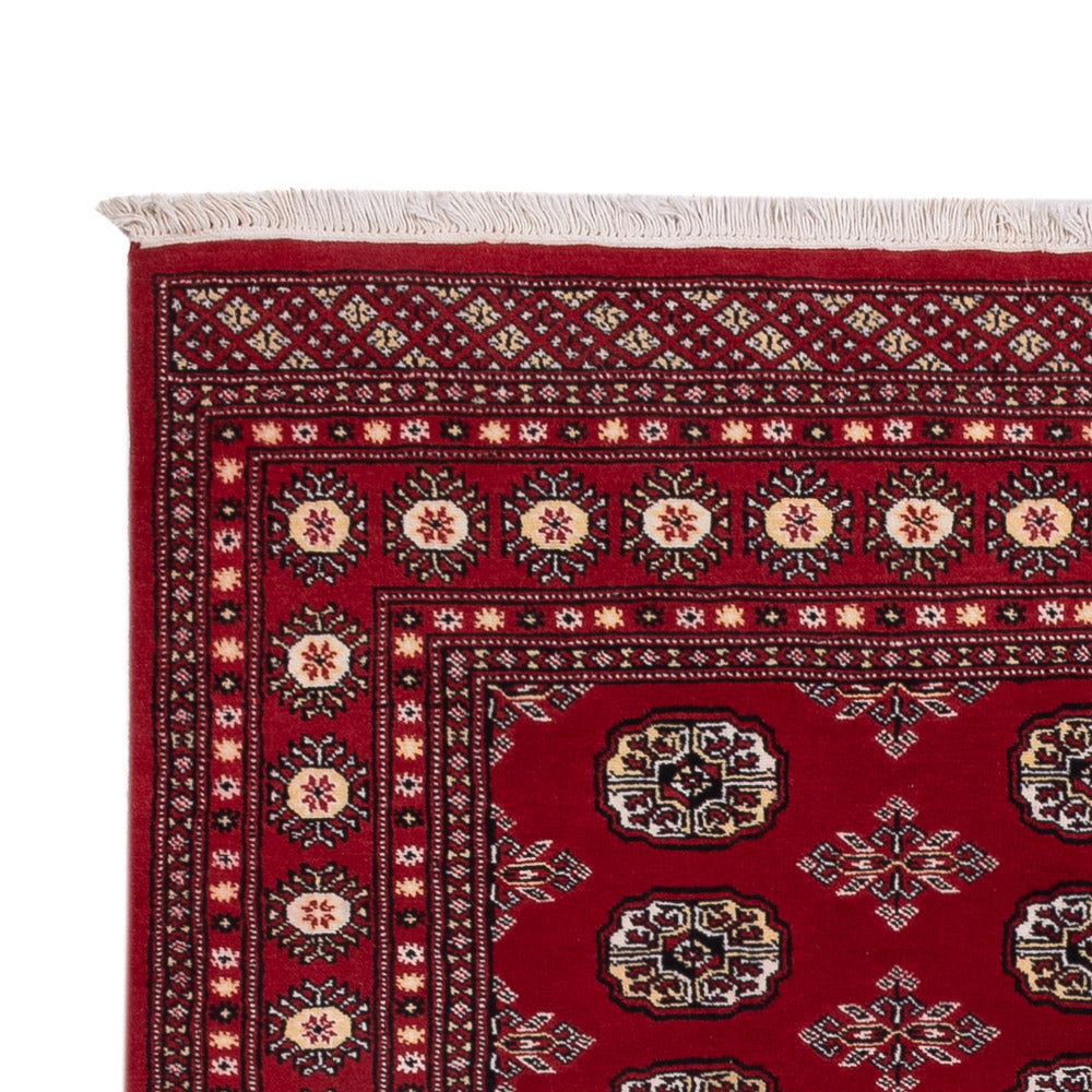 Pakistan Tæppe 244x154cm - Orientalsk tæppe