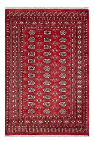 Pakistan Tæppe 158x237cm - Orientalsk tæppe