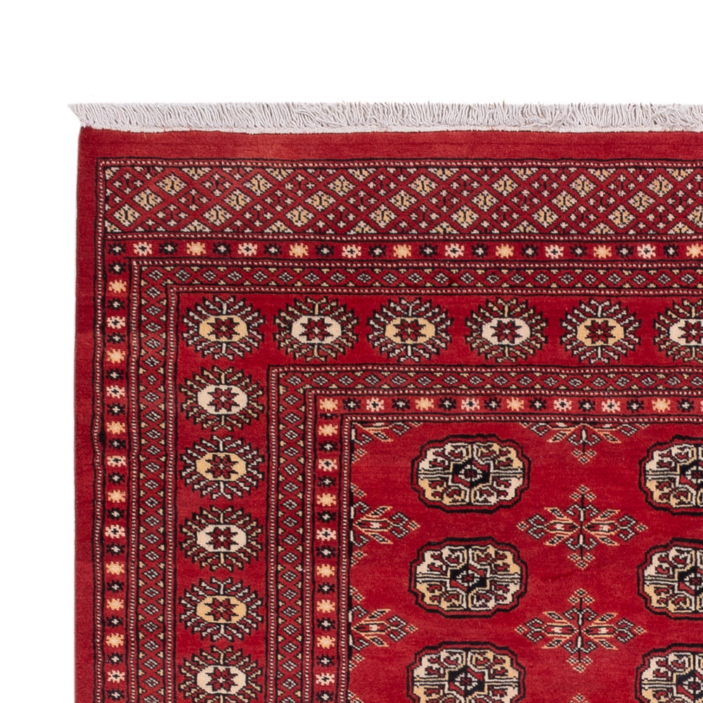 Pakistan Tæppe 237x158cm - Orientalsk tæppe