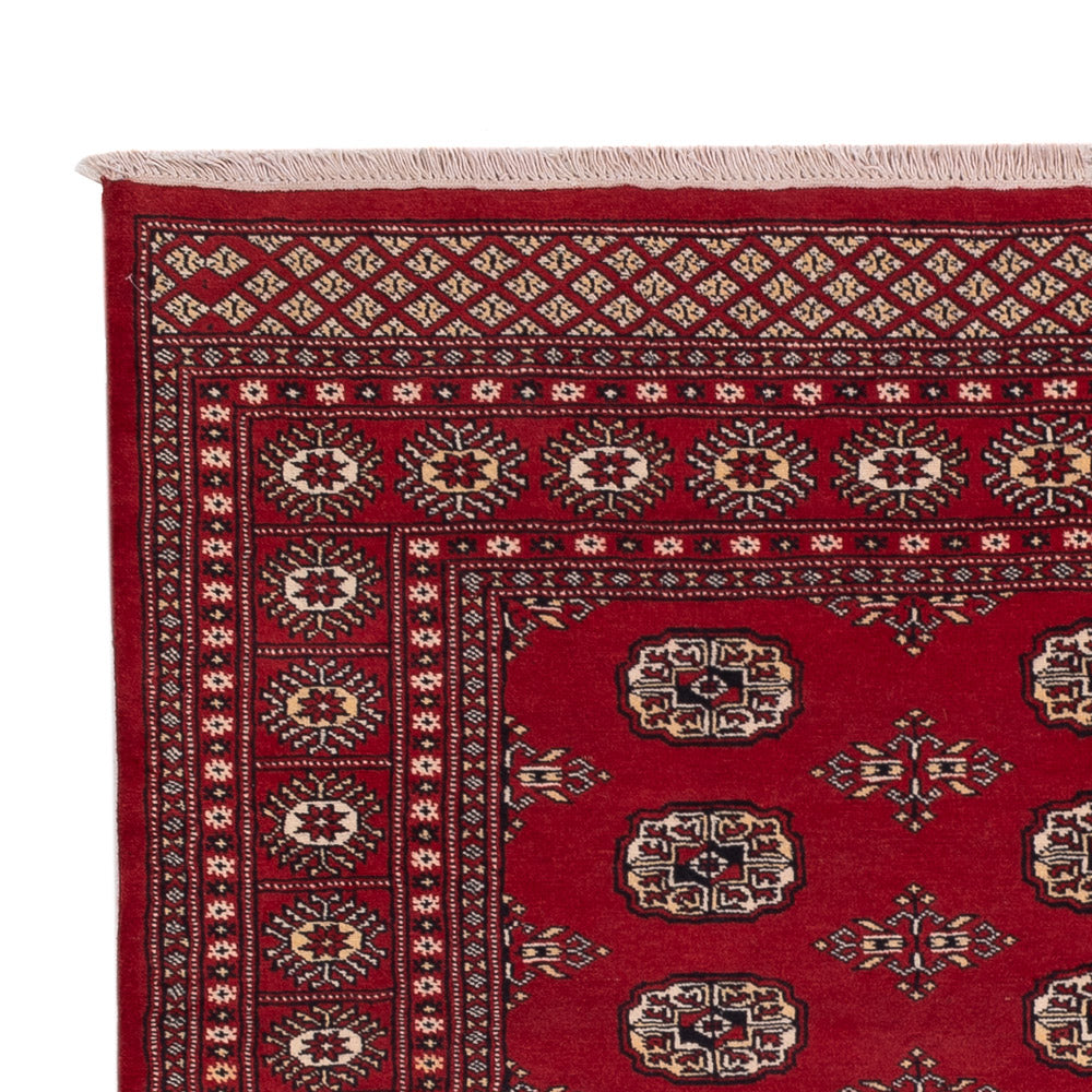Pakistan Tæppe 240x171cm - Orientalsk tæppe