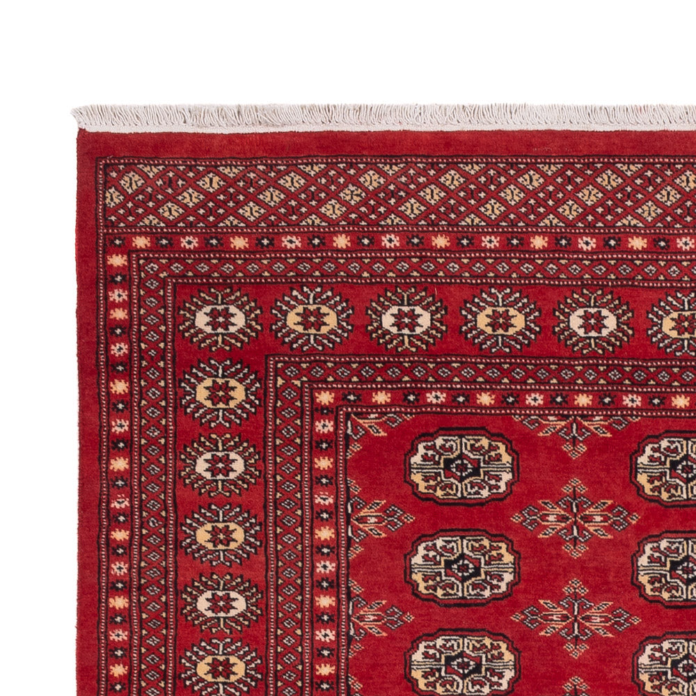 Pakistan Tæppe 250x159cm - Orientalsk tæppe