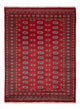 Pakistan Tæppe 231x172cm - Orientalsk tæppe