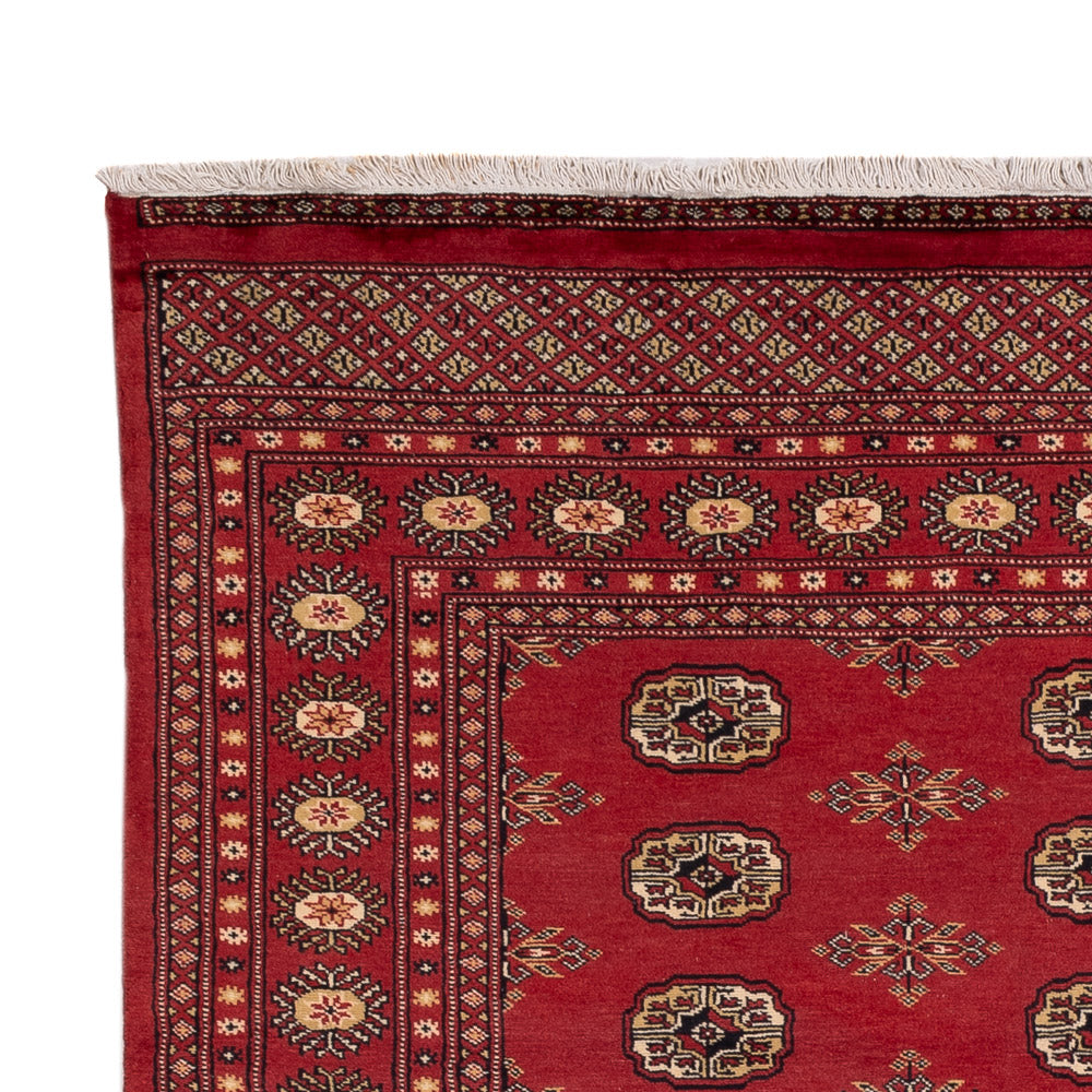 Pakistan Tæppe 241x173cm - Orientalsk tæppe