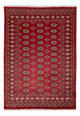 Pakistan Tæppe 245x170cm - Orientalsk tæppe