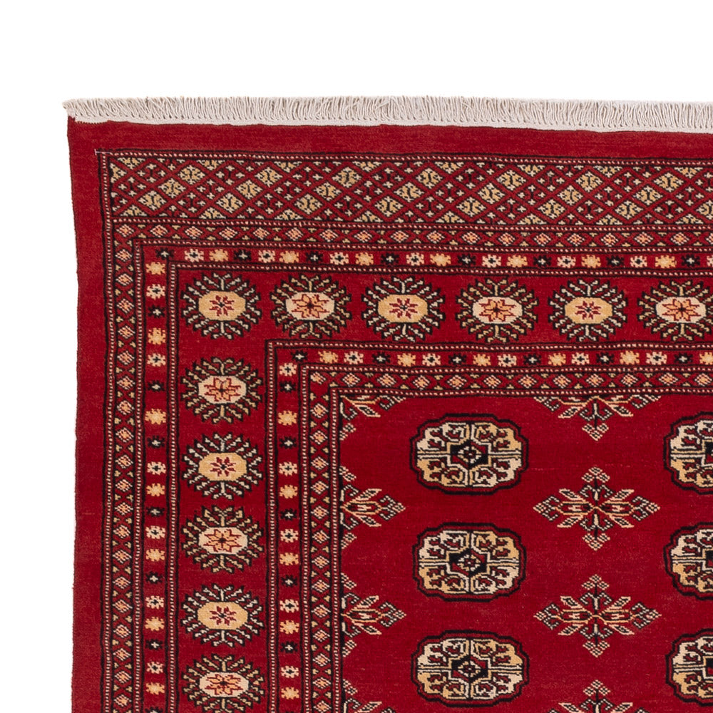 Pakistan Tæppe 245x170cm - Orientalsk tæppe