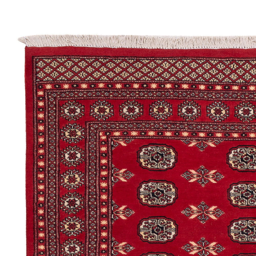 Pakistan Tæppe 258x179cm - Orientalsk tæppe
