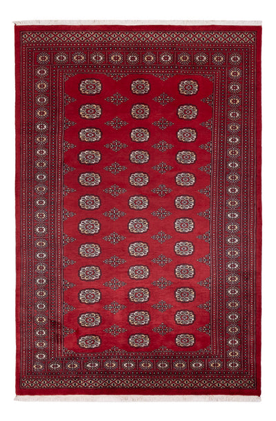 Pakistan Tæppe 167x249cm - Orientalsk tæppe