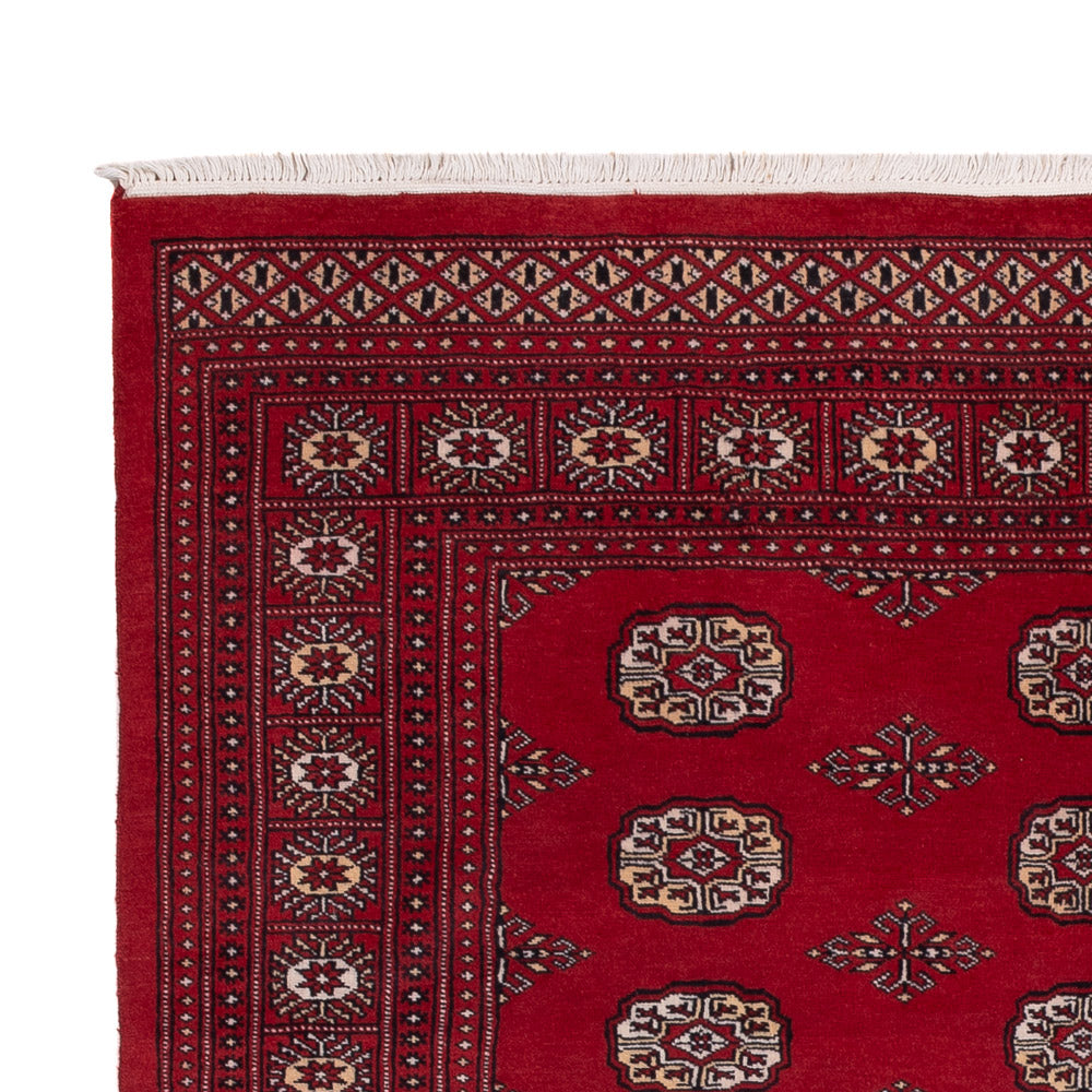 Pakistan Tæppe 249x167cm - Orientalsk tæppe