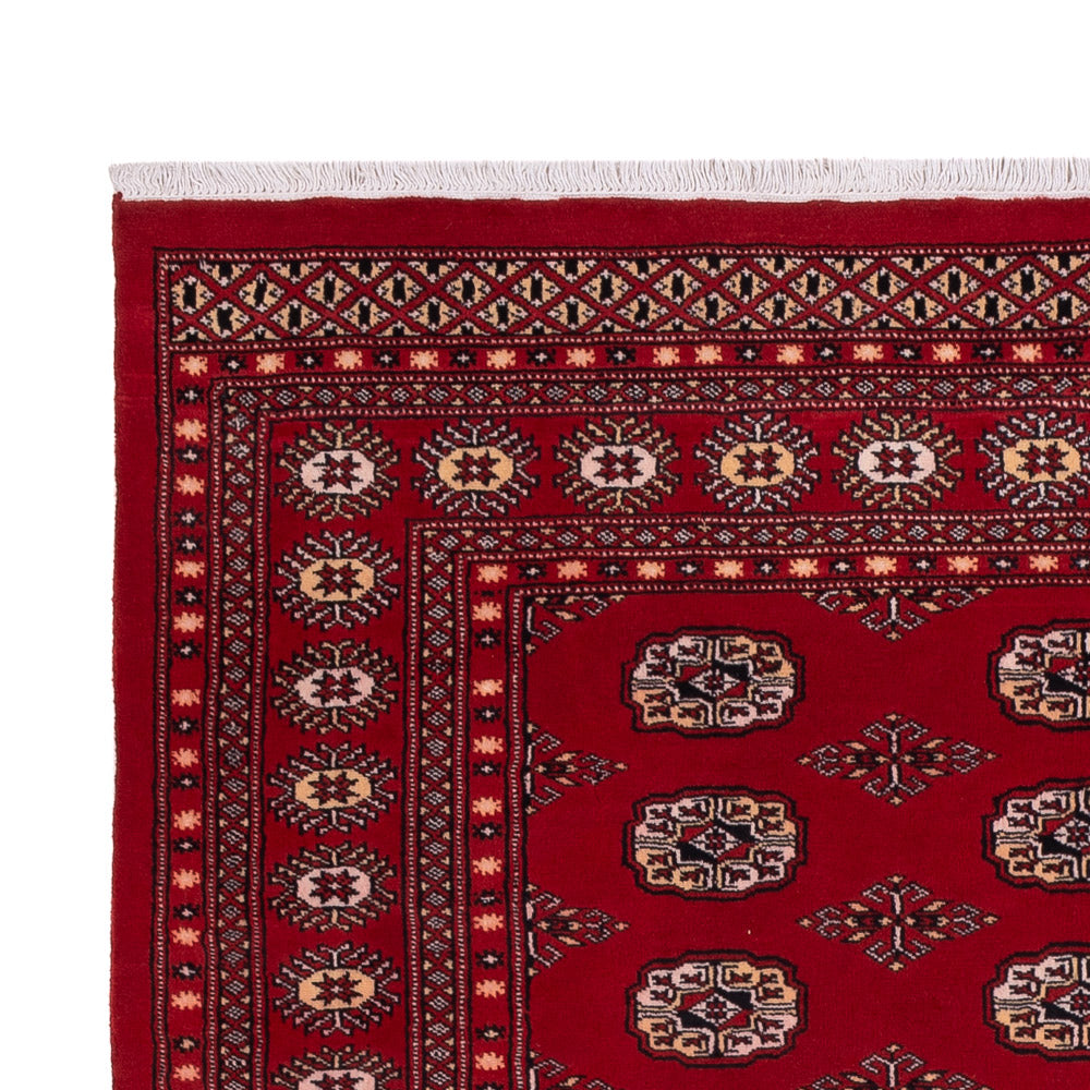 Pakistan Tæppe 266x167cm - Orientalsk tæppe