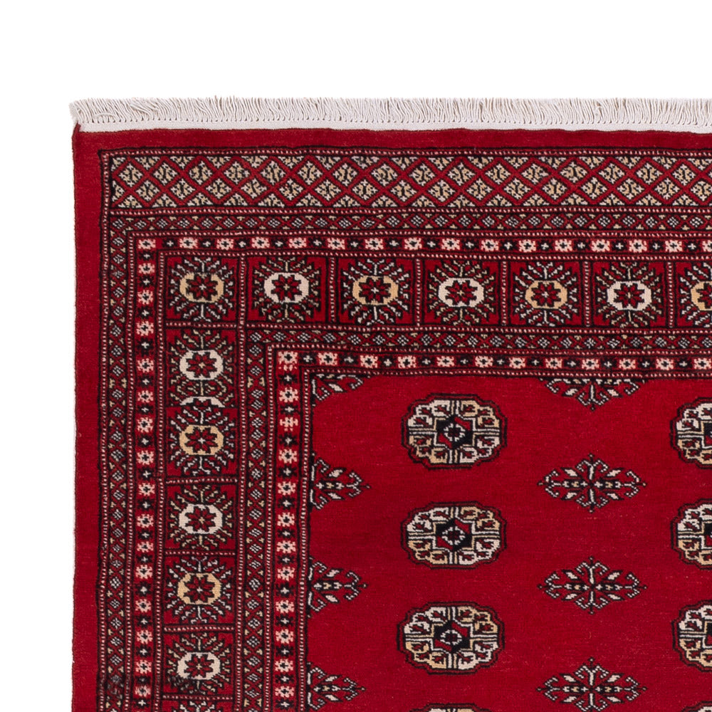 Pakistan Tæppe 239x164cm - Orientalsk tæppe