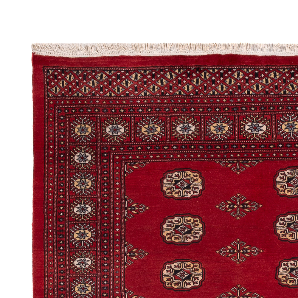 Pakistan Tæppe 235x165cm - Orientalsk tæppe