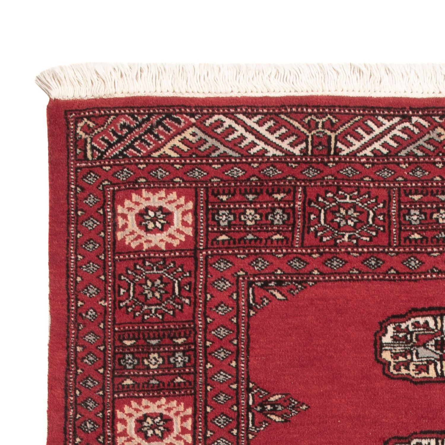 Pakistan Tæppe - 151 x 92 cm - rød